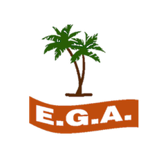 Android App development company in chennai